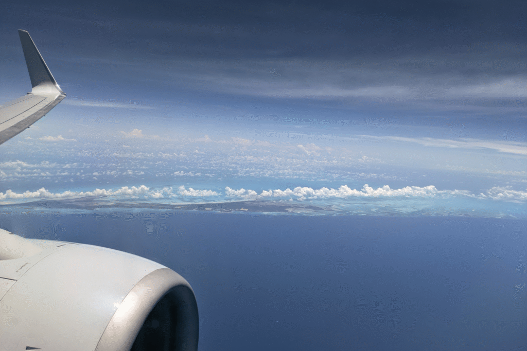 Cozy Flight Essentials