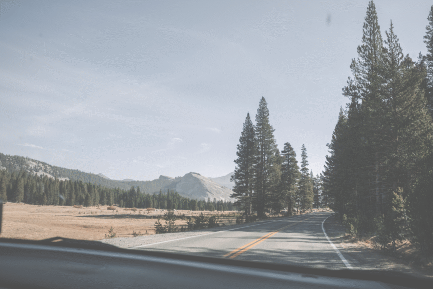 Road Trip Essentials