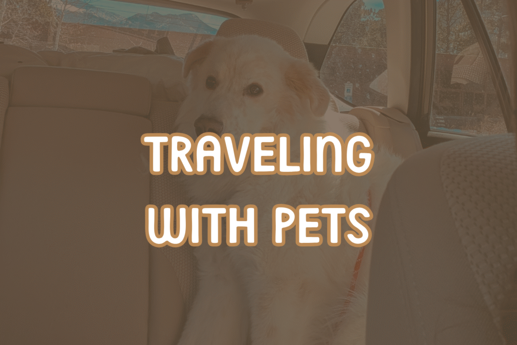 travel by type- traveling with pets