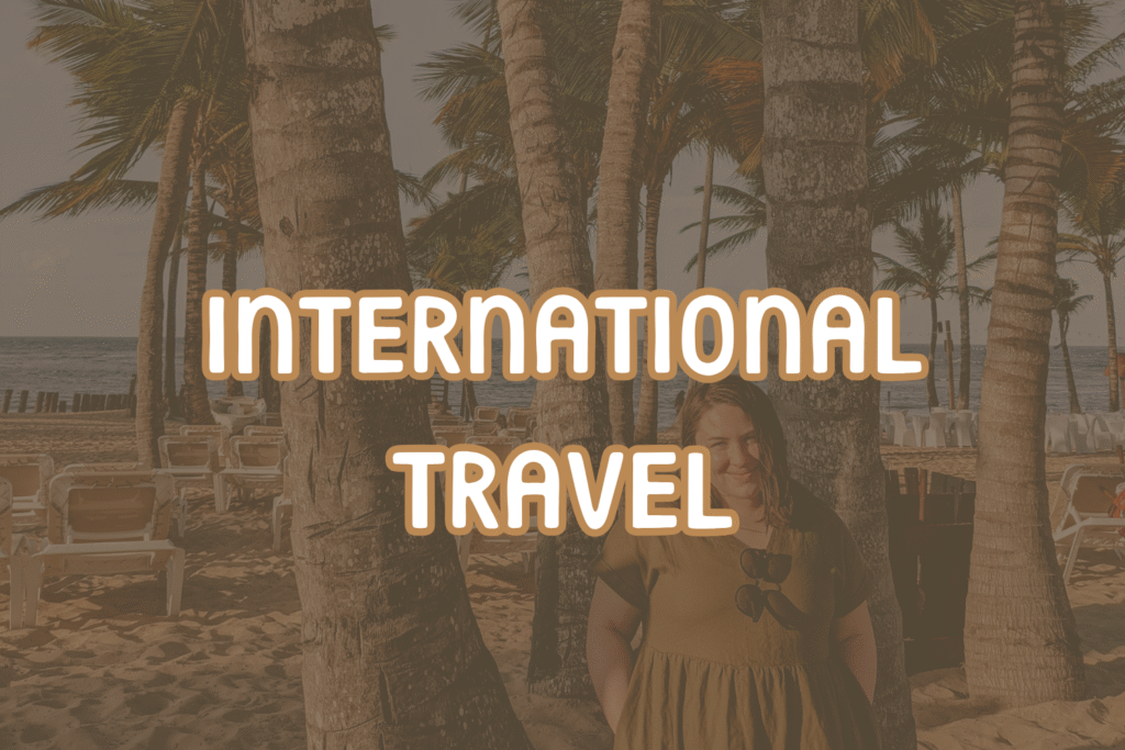 travel by type- international travel