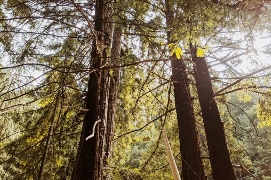 Mental Health and Travel