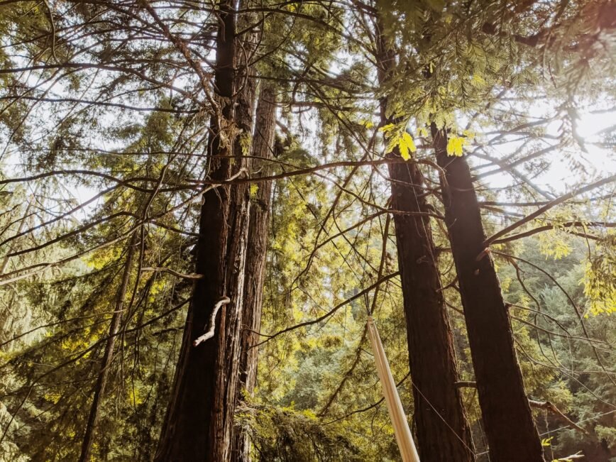 Mental Health and Travel