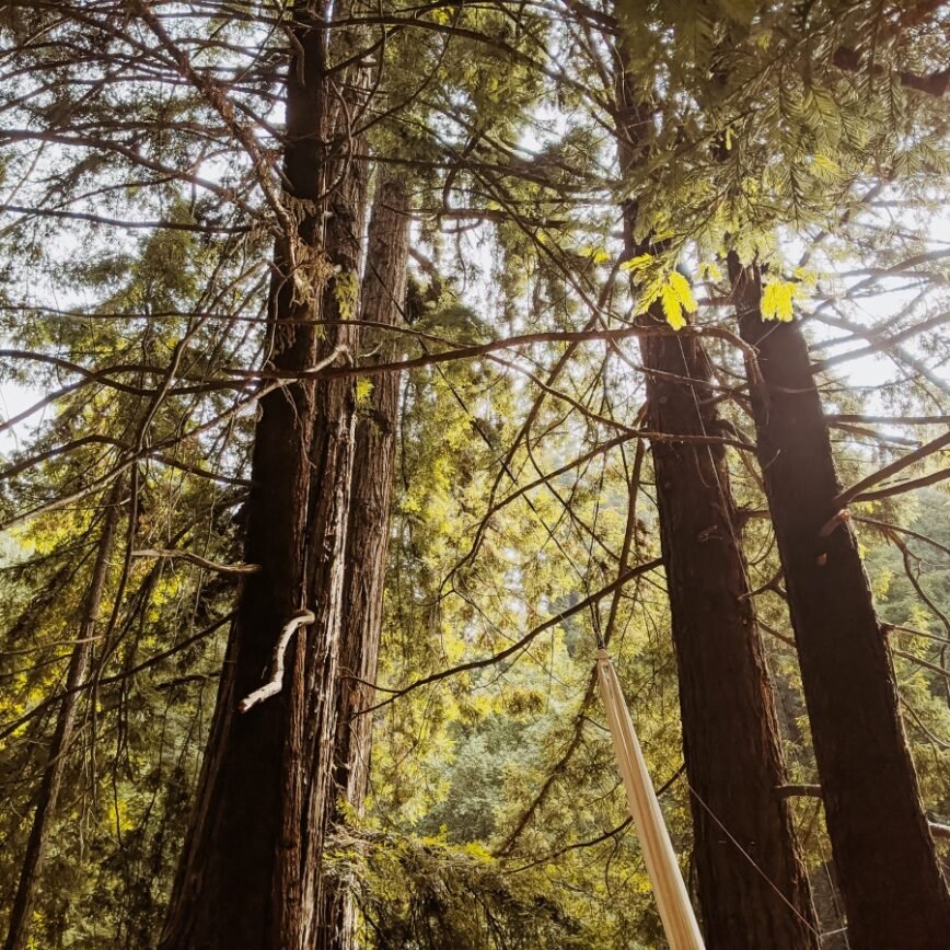 Mental Health and Travel