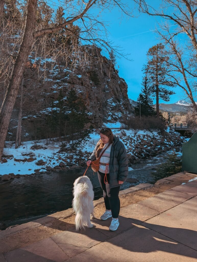 dog travel essentials- hip leash