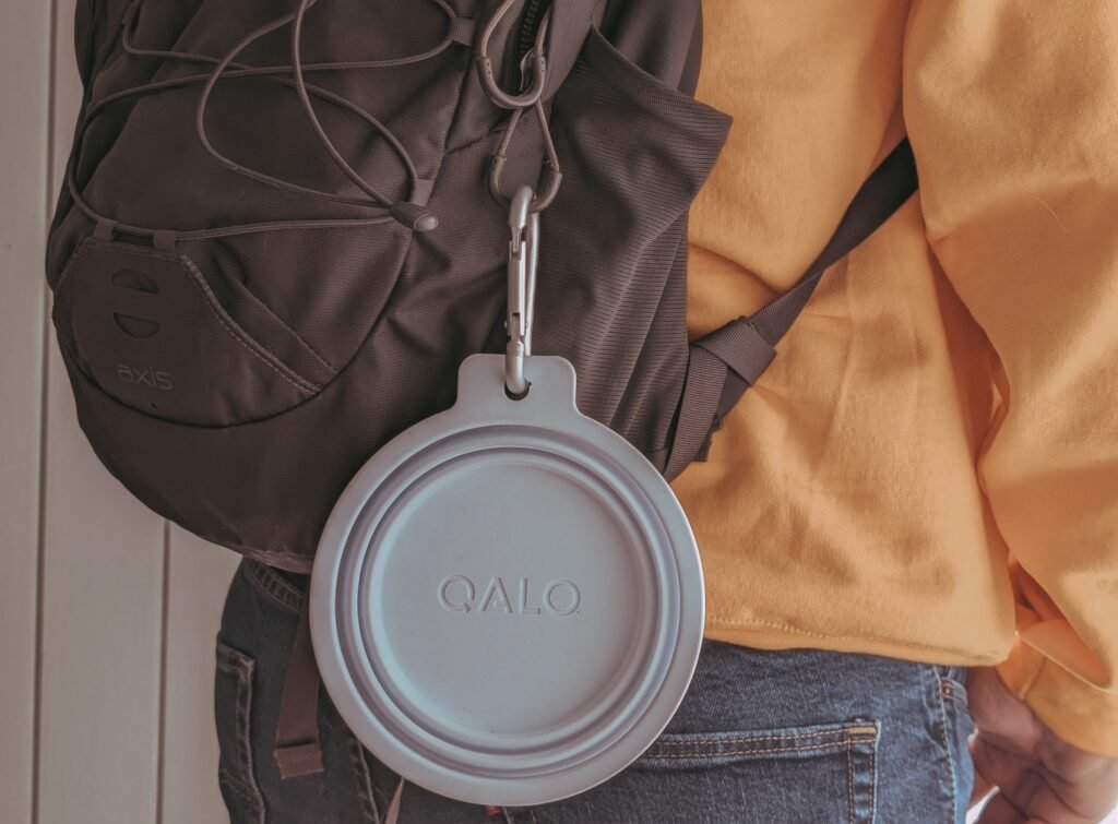 collapsible dog bowl