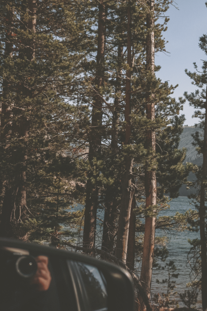 kailey and will- trip planning