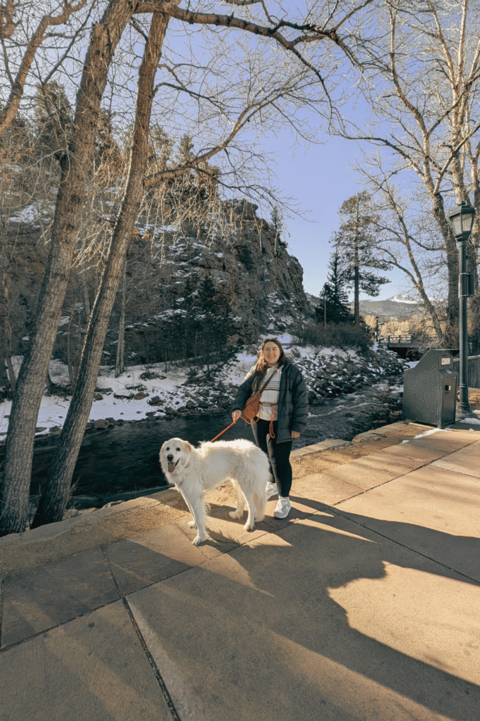 kailey and will- traveling with pets