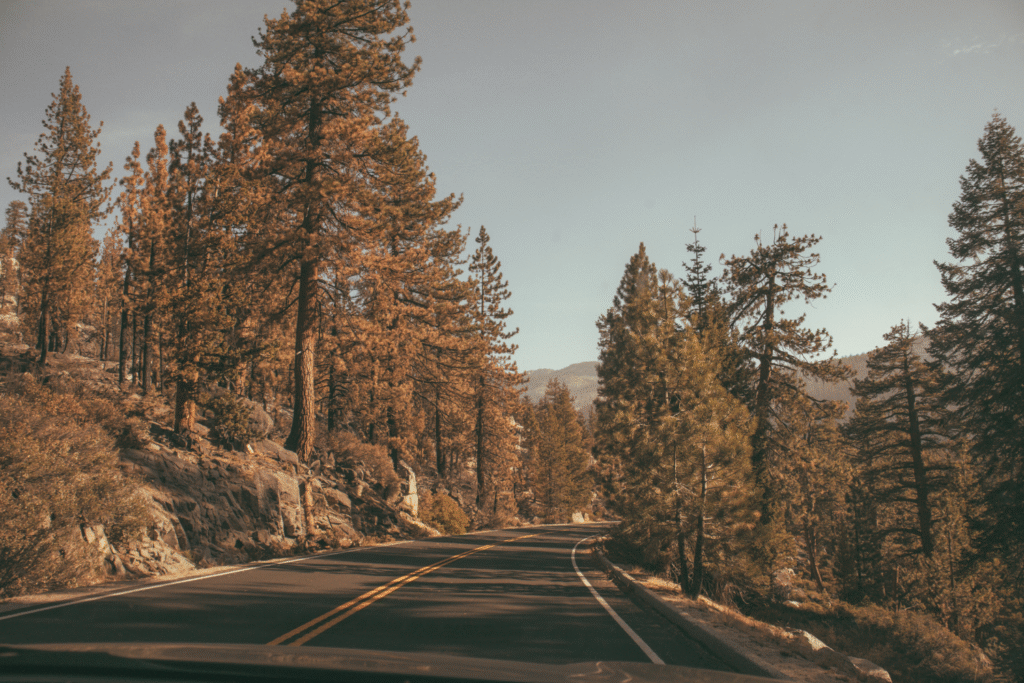 budget for a road trip